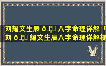 刘耀文生辰 🦍 八字命理详解「刘 🦍 耀文生辰八字命理详解视频」